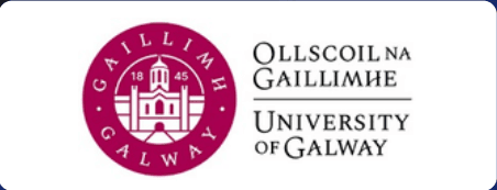 Partner University 5